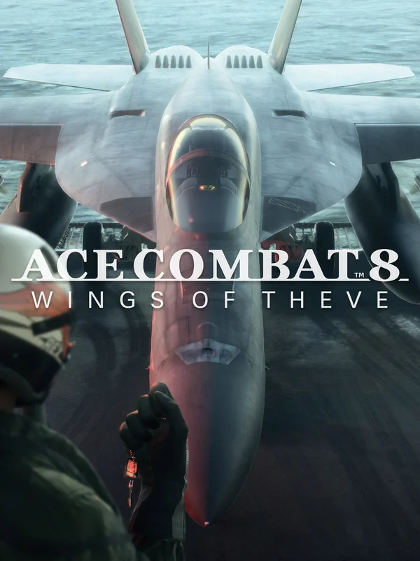 Jaquette — Ace Combat 8: Wings of Theve