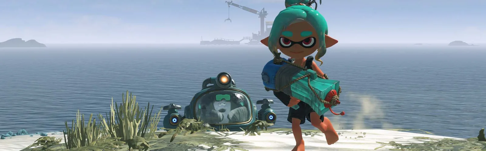 Bannière — Splatoon Raiders